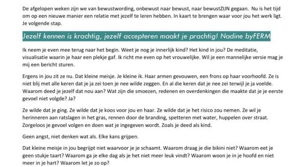 FERM Interactief Inspiratie Boek 'I-boek' > ontdek waar je staat in je leven!